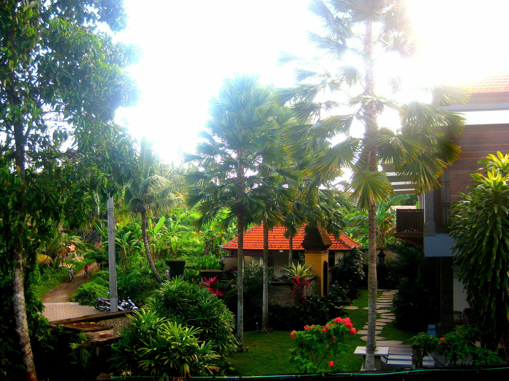 Sonia Bisma Hotel Ubud